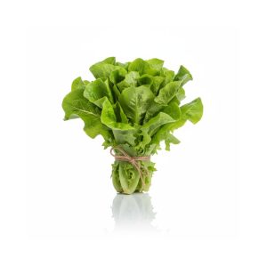 VERD.LECHUGA HOJA X KG (9)