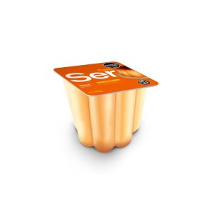 FLAN SER X 95GR ffs